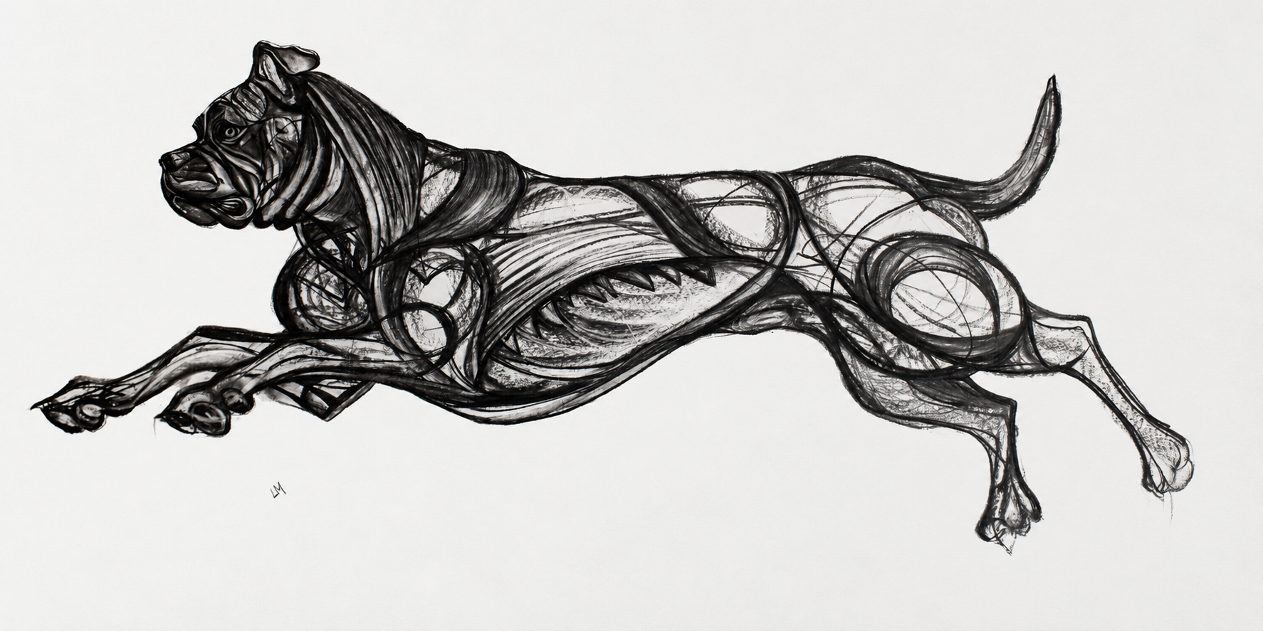 Long, dynamic charcoal drawing of a dog in motion