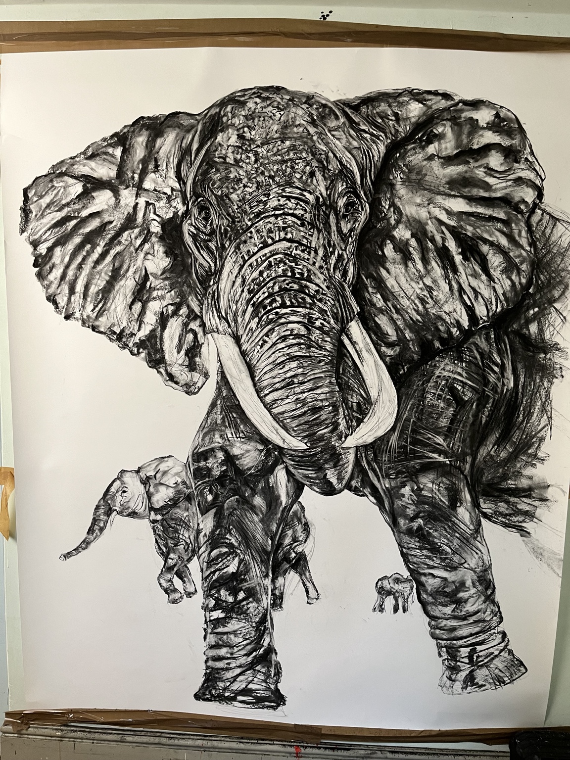 Large charcoal drawing of an elephant with two smaller elephants