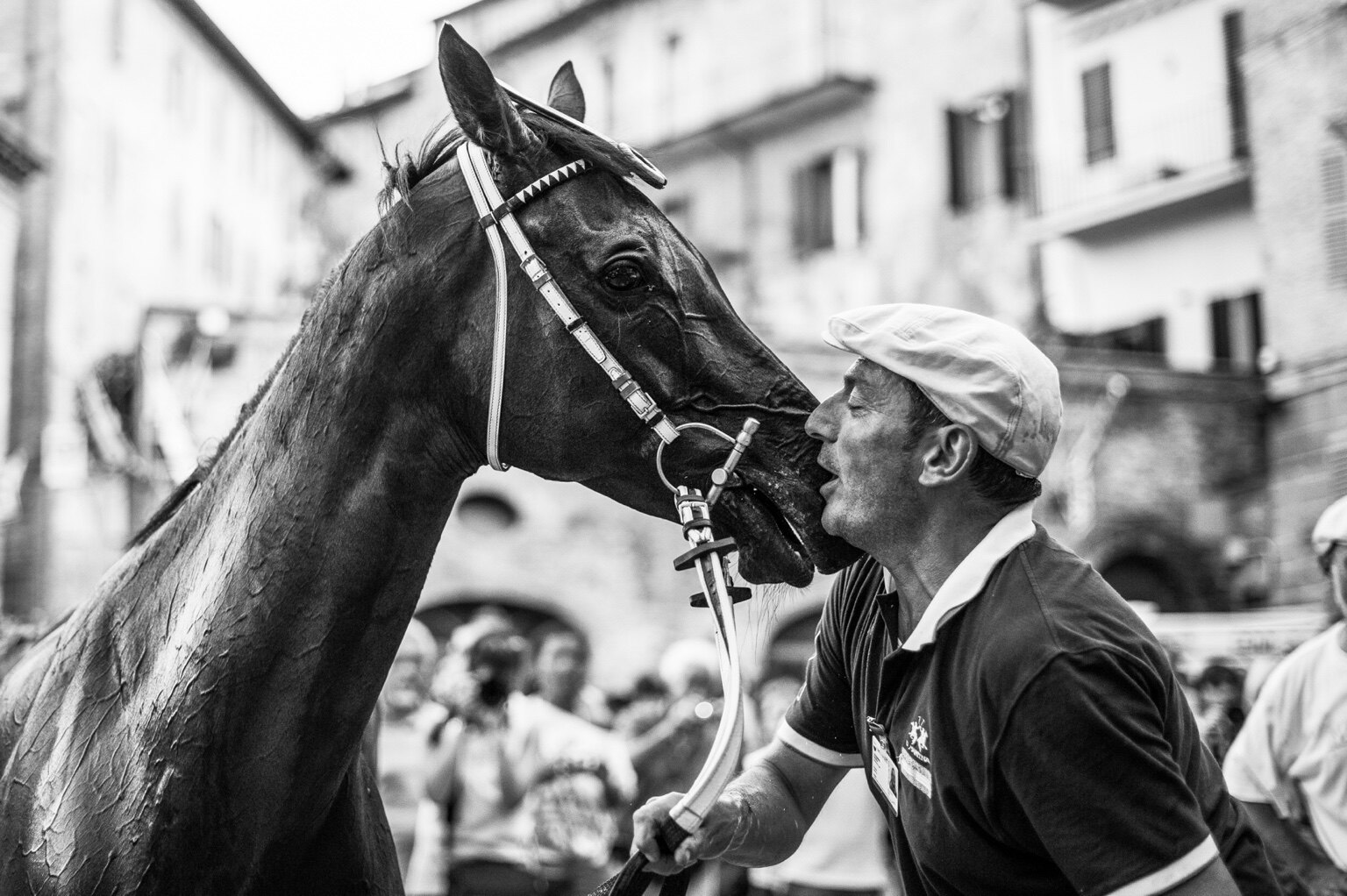 A tender moment between a Palio horse and handler